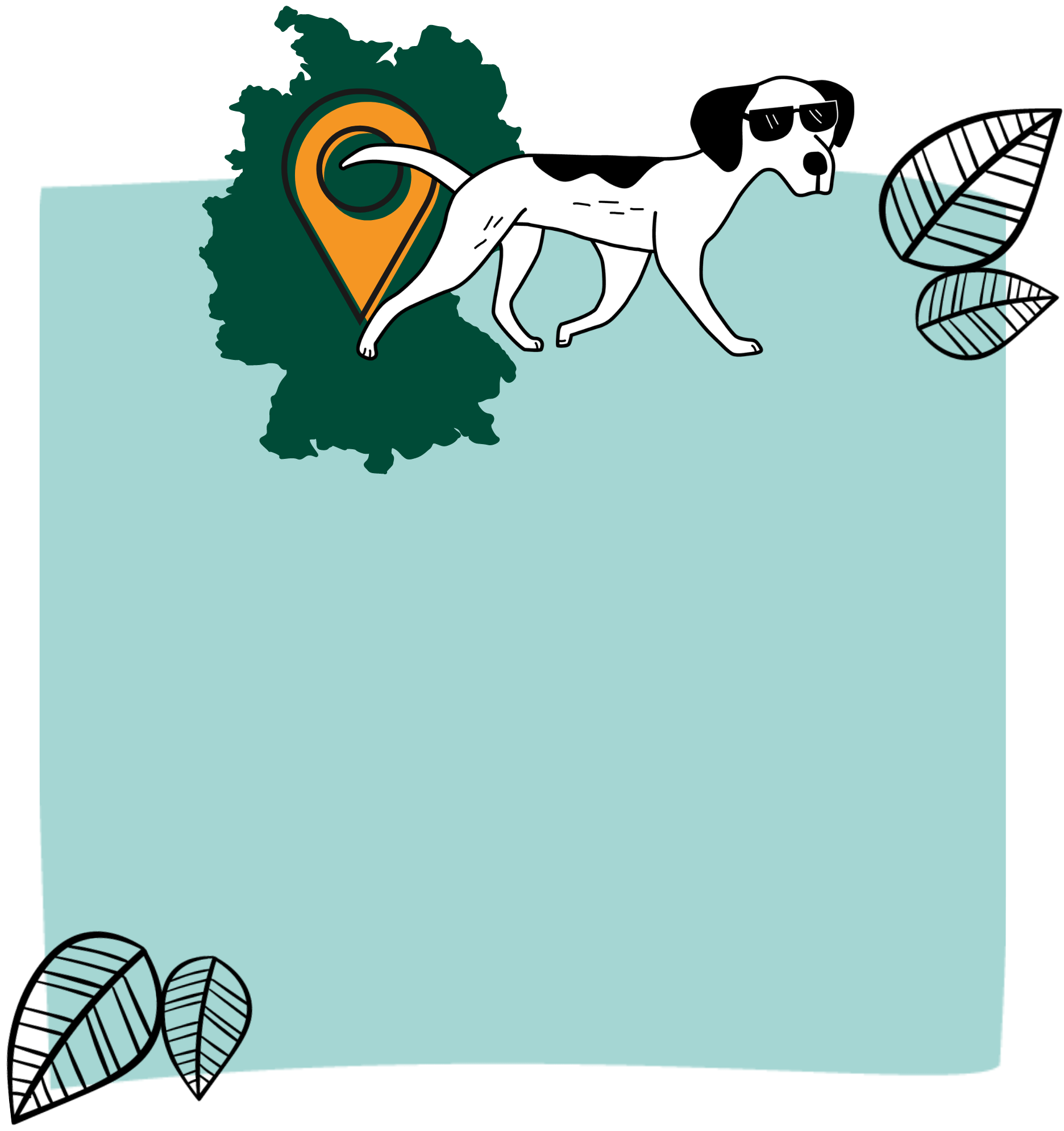 Green pet food