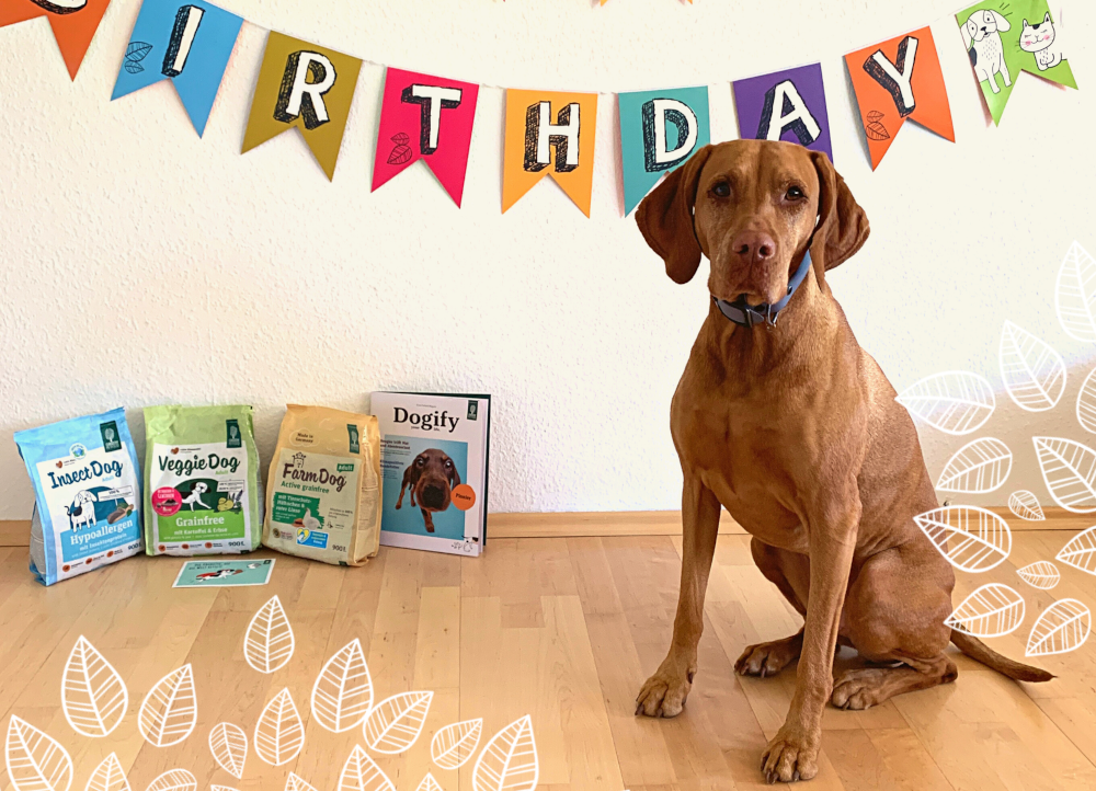 Green pet food banner